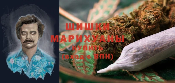 apvp Алагир