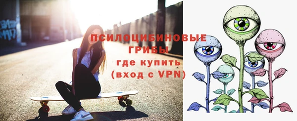 apvp Магас