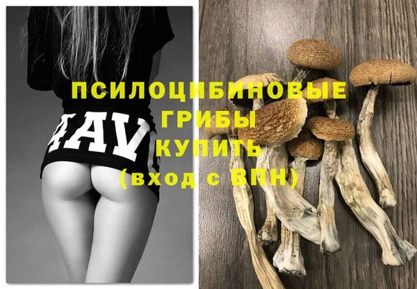 индика Бабаево
