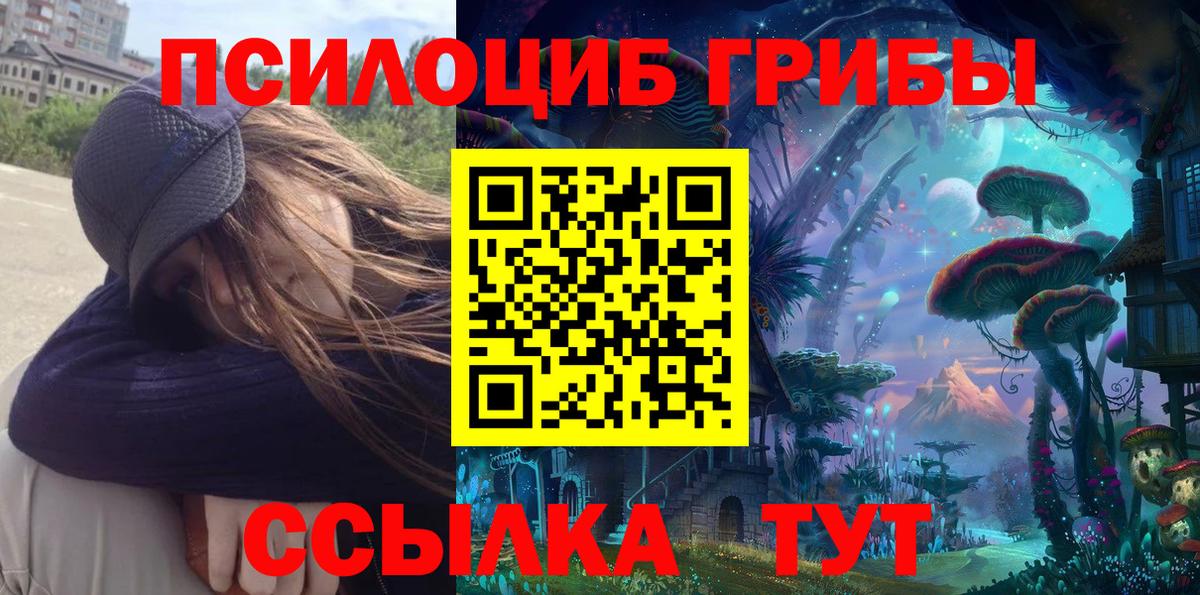 Псилоцибиновые грибы прущие грибы  Вход с VPN  Павловский Посад 